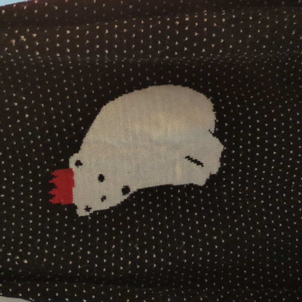 Polar bear sweater
